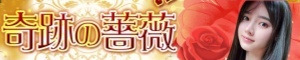 奇跡の薔薇