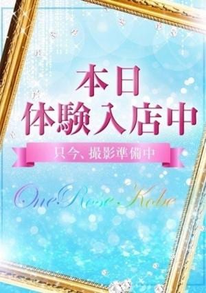 ONE ROSE（ワンローズ） めい