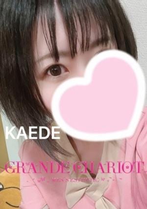 GRANDE CHARIOT（グランシャリオ） かえで