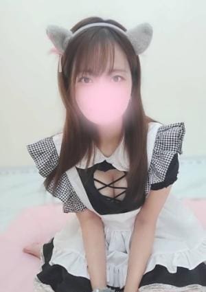 肉球たっぷ えりにゃん