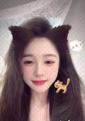 ひまわり ここちゃん