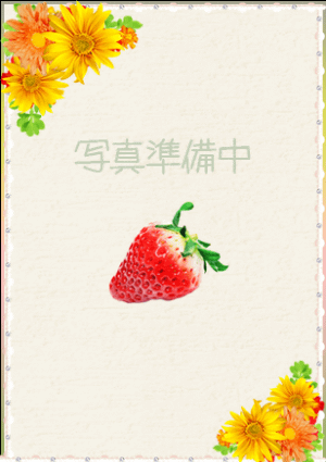ひまわり つばき