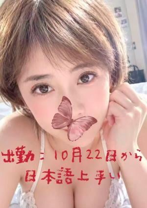ディア・シスター マイちゃん