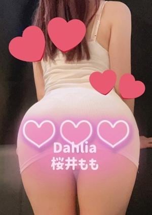 DAHLIA（ダリア）恵比寿ルーム 桜井もも