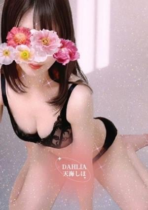 DAHLIA（ダリア）恵比寿ルーム 天海しほ