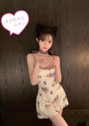 ふんわり庵 ネコちゃん