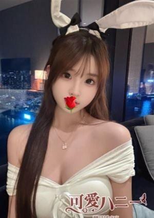 可愛いハニー こな