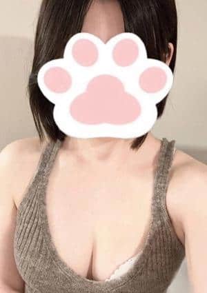 こねこのおへや アコ