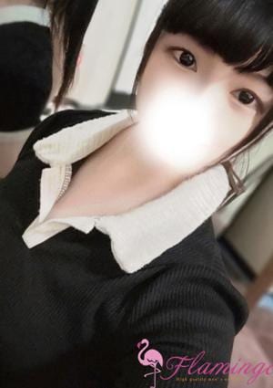 王子フラミンゴ 細川ゆうこ