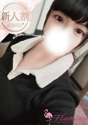 王子フラミンゴ 細川ゆうこ