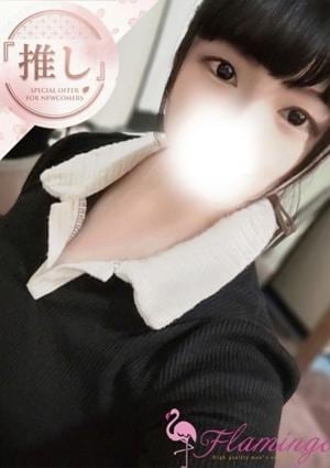 王子フラミンゴ 細川ゆうこ