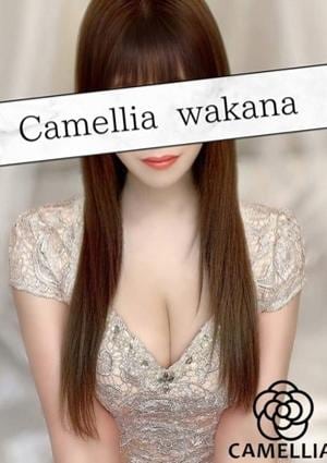 Camellia（カメリア） わかな