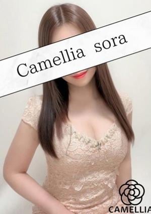 Camellia（カメリア） そら