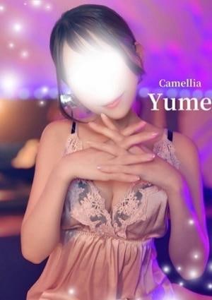 Camellia（カメリア） ゆめ