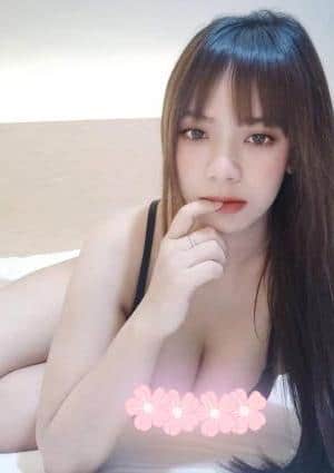 癒し 茶々ちゃん