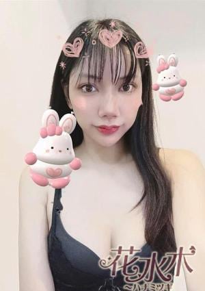 花水木（ハナミツギ） びび