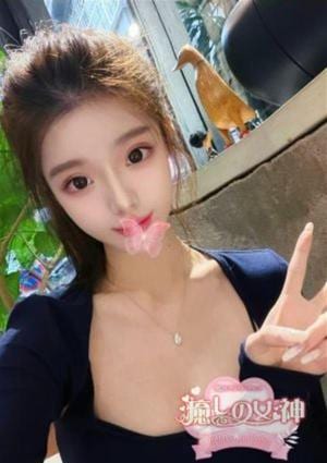 癒しの女神 ひかり