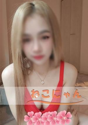 ねこにゃん Lindyちゃん