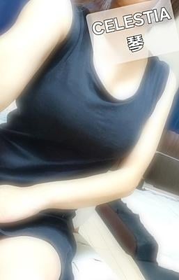 CELESTIA 琴