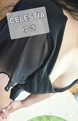 CELESTIA ゆき