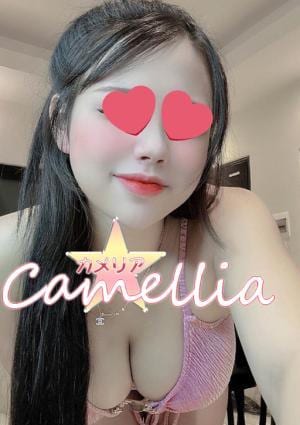 Camellia（カメリア） ミアちゃん