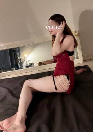 Carnet みずき