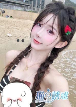 猫の誘惑 はるこ