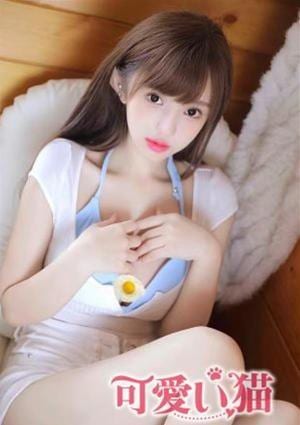 可愛い猫 まい
