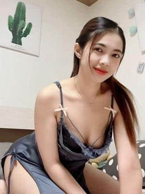 パラダイス ささ