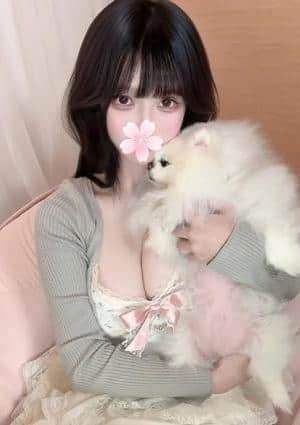 みき めいろ