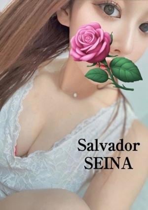 Salvador（サルバドール） SEINA