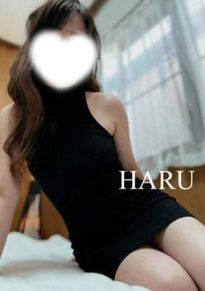 Salvador（サルバドール） HARU