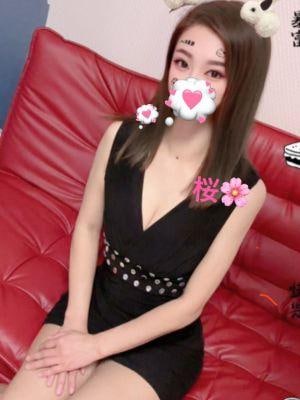 stream（ストリーム） 桜