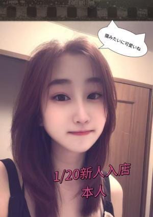 貴族（キゾク） ななちゃん