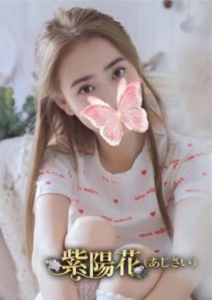 紫陽花（あじさい） ラキ