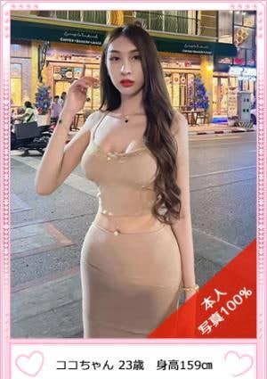 癒しタイム ココ