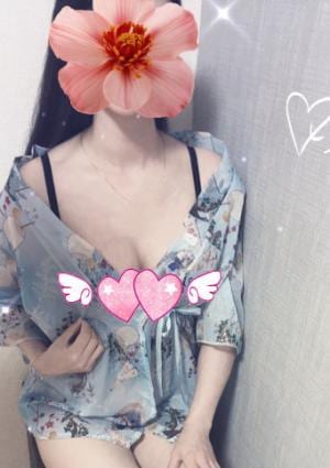 猫姫（ねこひめ） ねこちゃん