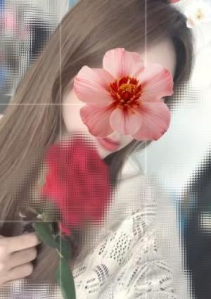 猫姫（ねこひめ） リリ