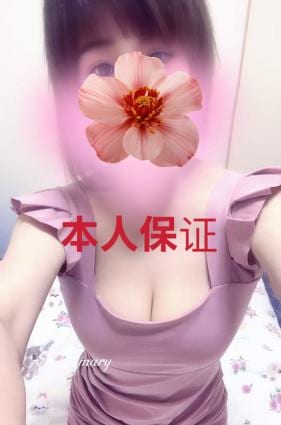 猫姫（ねこひめ） リリ