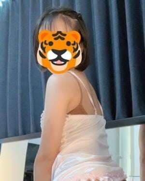 cheetah（チーター）金山 しほ