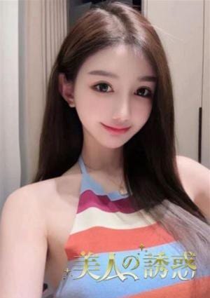 美人の誘惑 ねこ