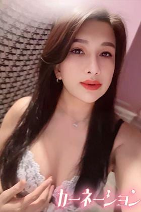 カーネーション ここ