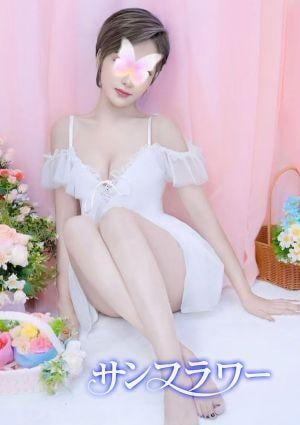 サンフラワー リン
