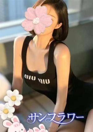 サンフラワー ココ