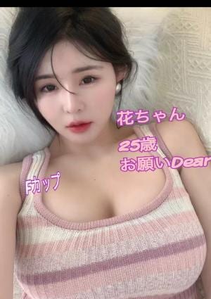 お願いDear 【新人】花ちゃん