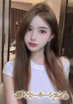 赤いカーネーション1 みう