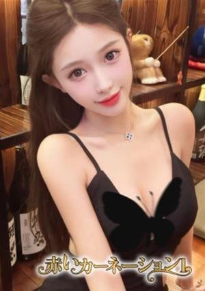 赤いカーネーション1 るみ