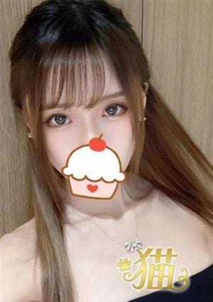 猫 ゆず