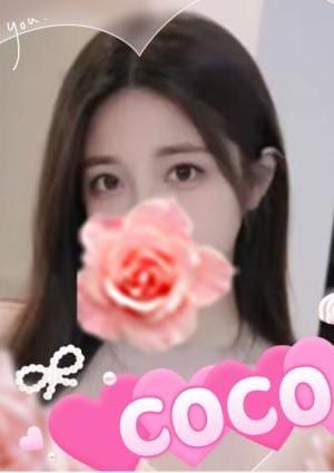 COCO さくらちゃん