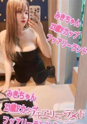 フェアリーランド みき